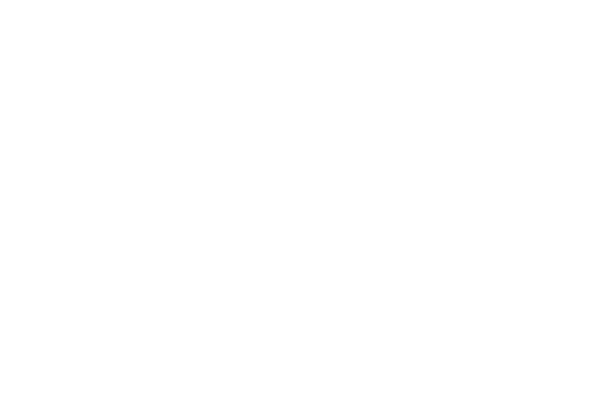 AVK logo