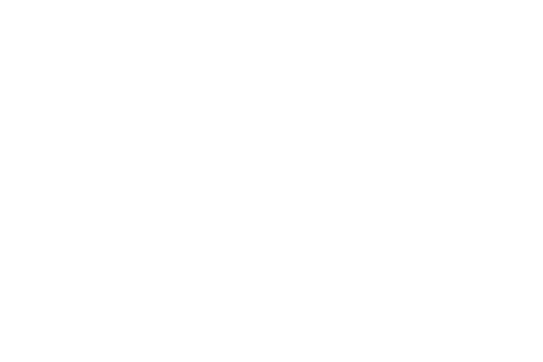 BlazeMaster logo