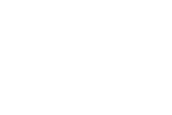 DeWalt logo