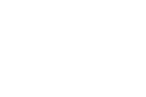 SPP logo